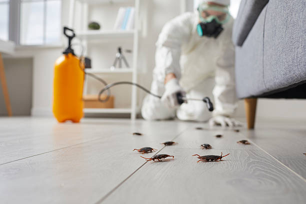 Post-Treatment Bed Bug Interceptor Monitoring in Clairton