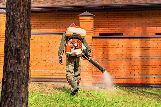Bed Bug Clearance Verification and Documentation in Clairton